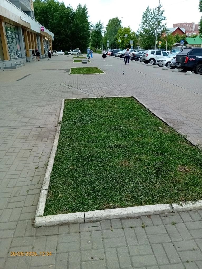 1 (352).jpg