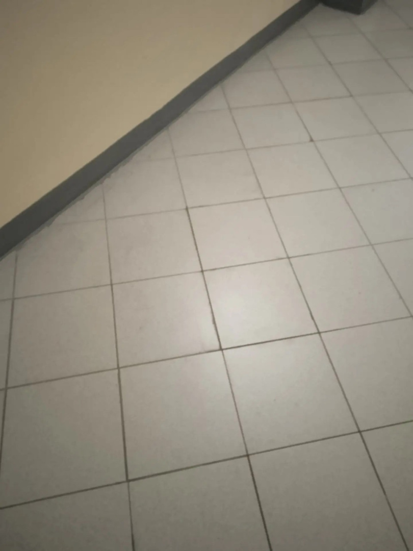 bb77acc0-a597-4056-a7d4-72a66224a7d5.jpg