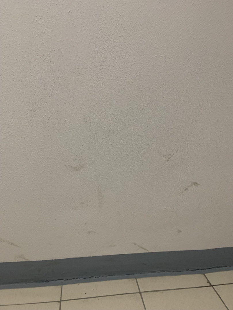 photo_5314614346669297699_y.jpg photo_5314614346669297699_y.jpg