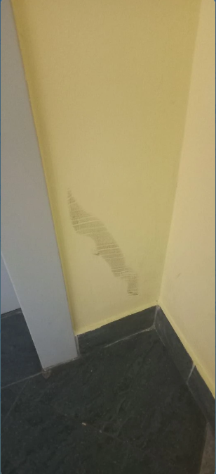 Screenshot_4 (1) (1).png