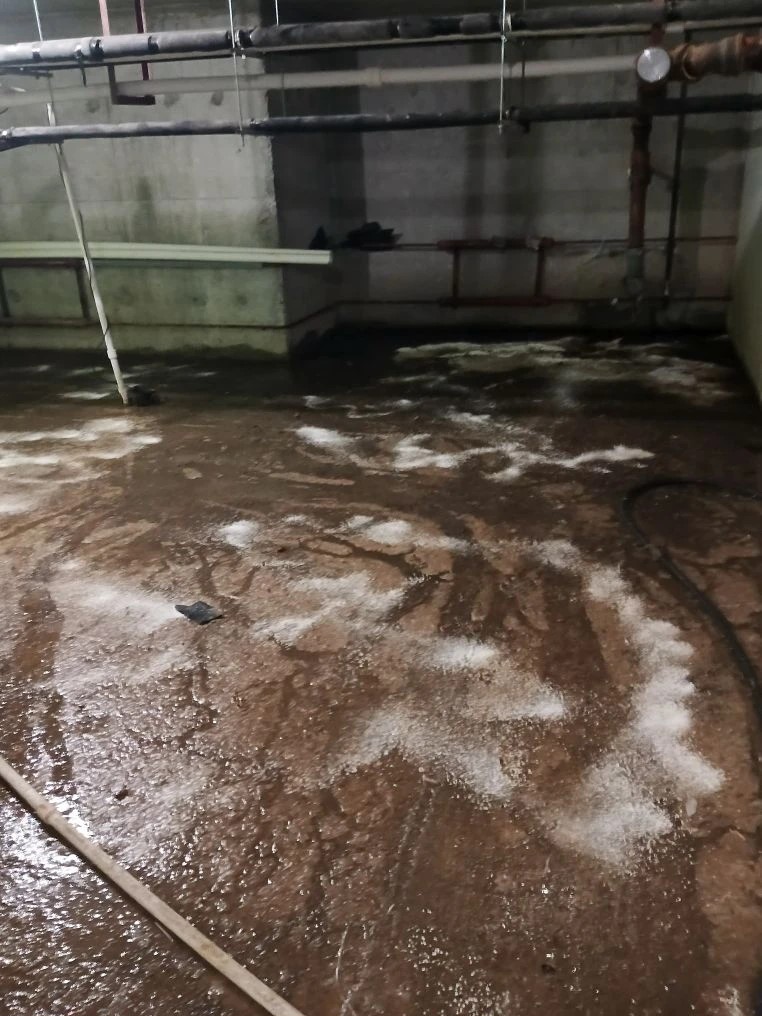 канализацию забило п2.jpg