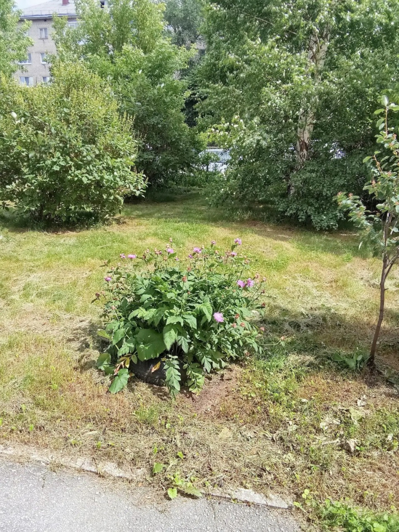 IMG_20260624_135731.png