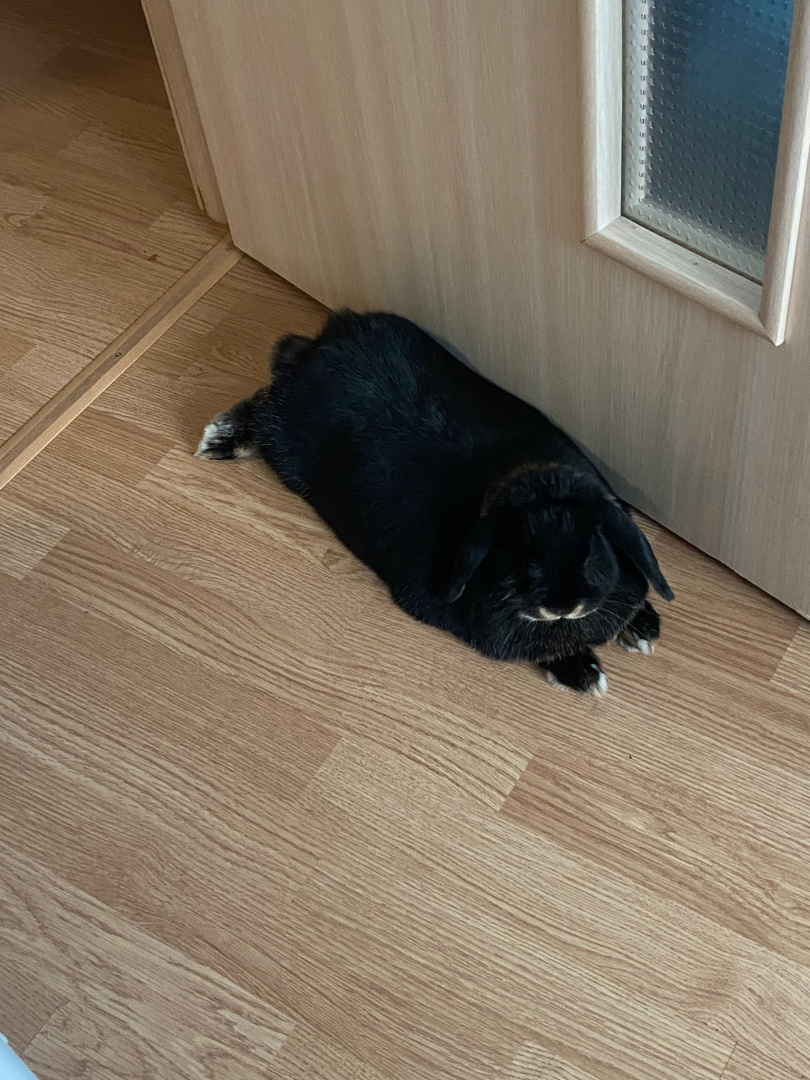 6yheAL3uNN17oqk8UieTz_cbCumiHnstlUL996BBIId80V1AeV7IPofeqJJvCXJpfkdWAjR8xjVZaxVJQjrK7FCz (1).jpg