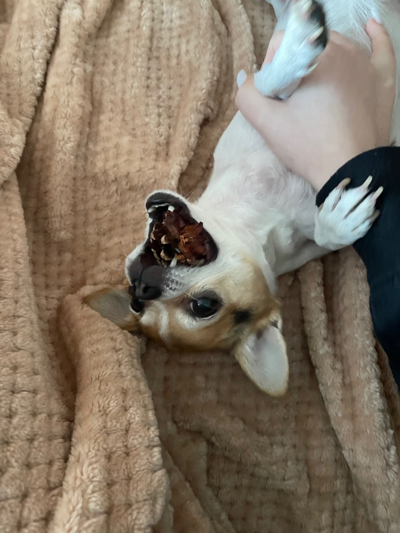 7xOcWTzbzSw3t54u0kMdaD5k2PqT1_c_kRuiRw8Kn4l6t78EAmzEdu3EsXisNkHGCEioPC6hqyVA9x1RFmLlVa_R (1).jpg