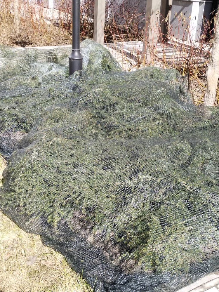 7fd6b4e0-ef45-433a-9dde-c6b5bdda0827.jpg 7fd6b4e0-ef45-433a-9dde-c6b5bdda0827.jpg