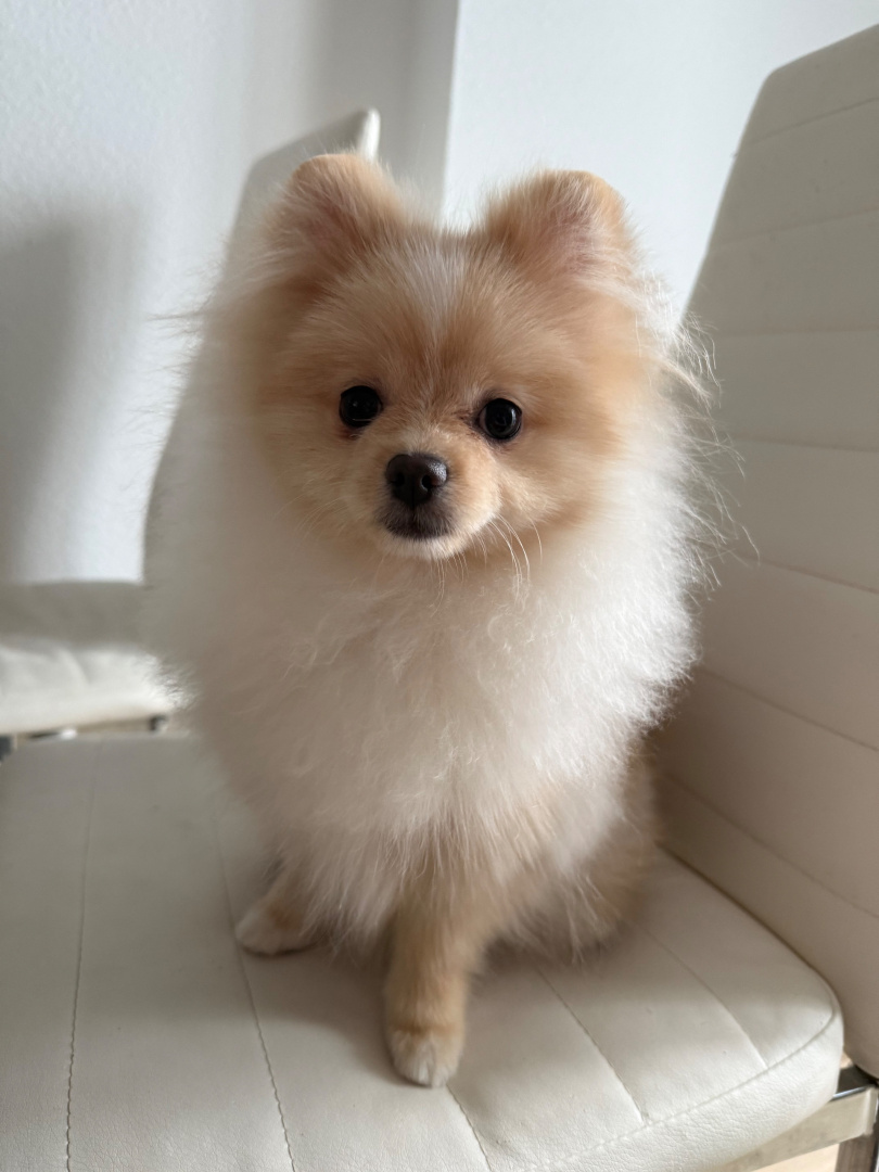 OYi_Ljtr4LjTHdoJFKquRbfqIMx1HVvCKTiPRwqZxeDsVued82GlFFe43qIQtcXWY02zOHDAY-UNrVHC8hE1l-h- (1).jpg