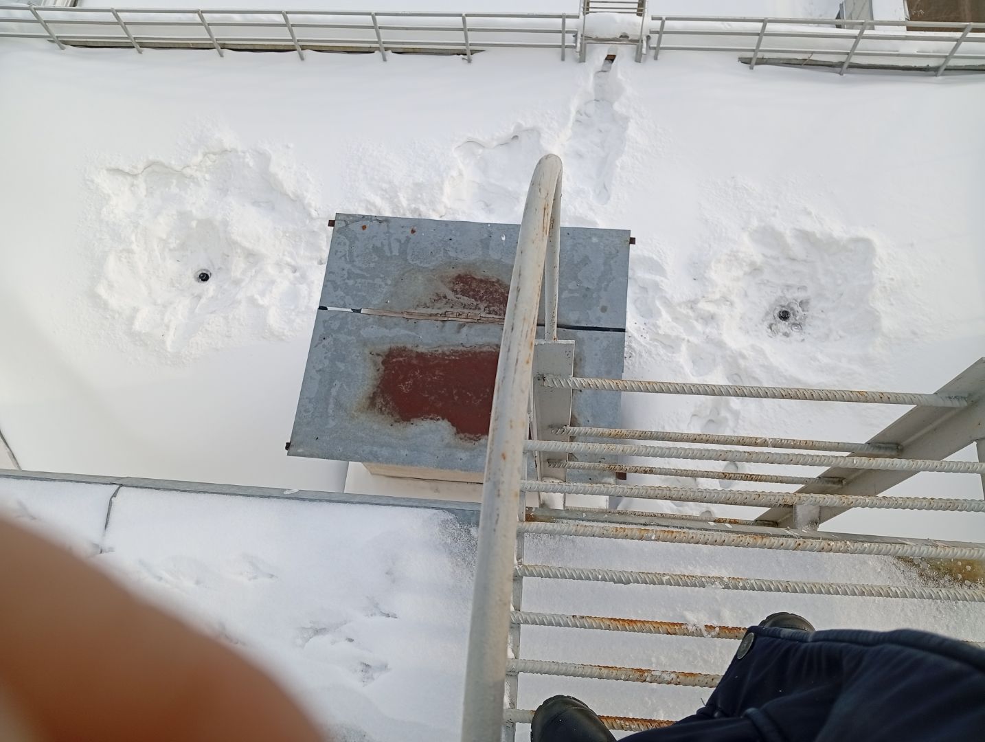 mobile_file_2026-02-16_06-26-25 (2) (1).jpg