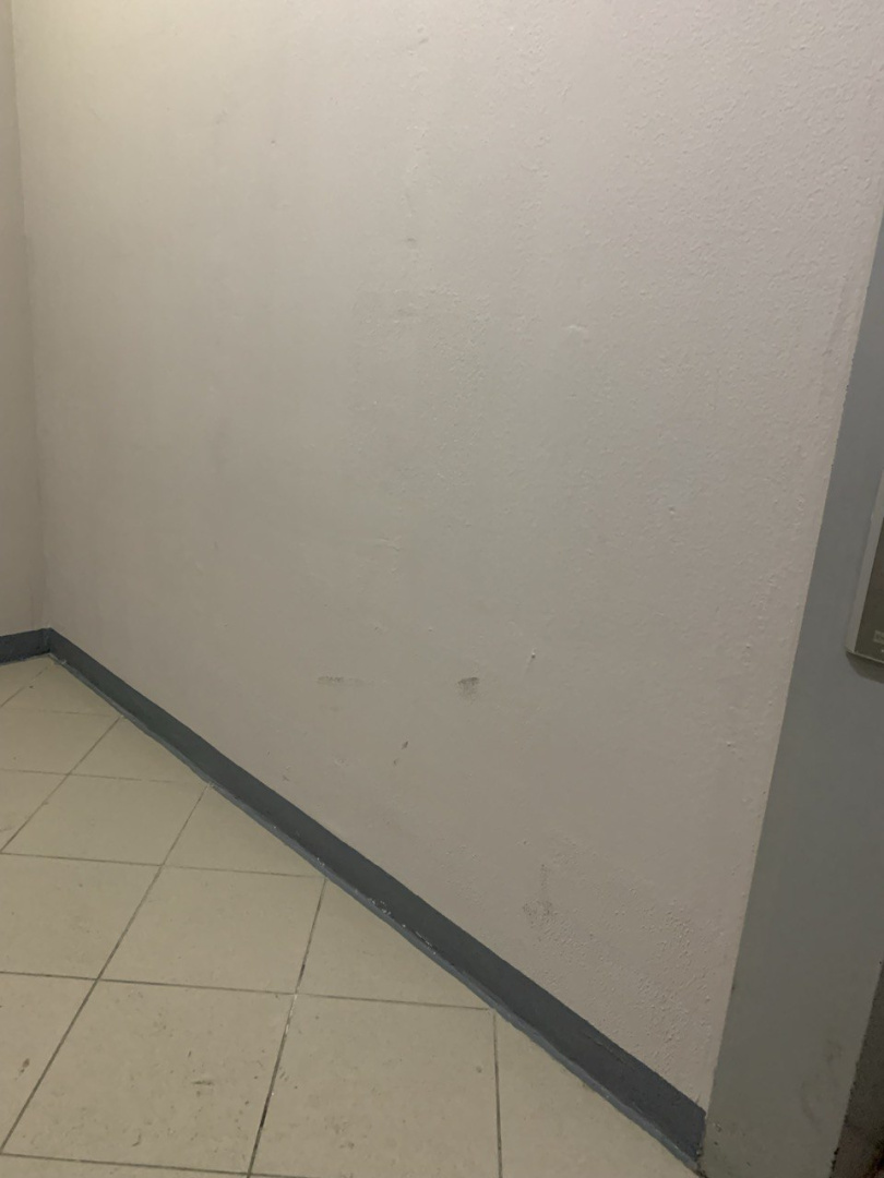 photo_5314614346669297698_y.jpg photo_5314614346669297698_y.jpg