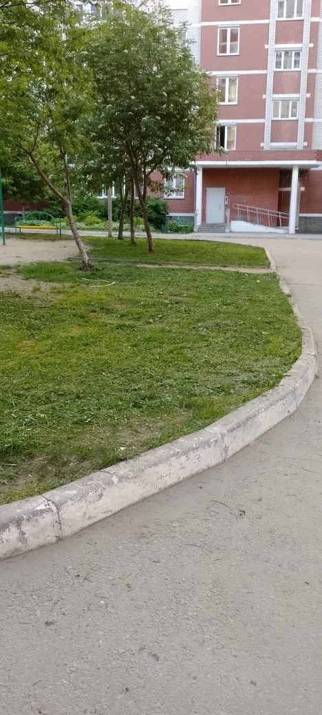 после (1) (1).jpg