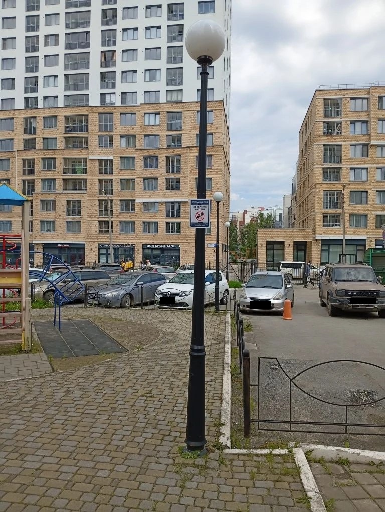 не кормите птиц.jpg