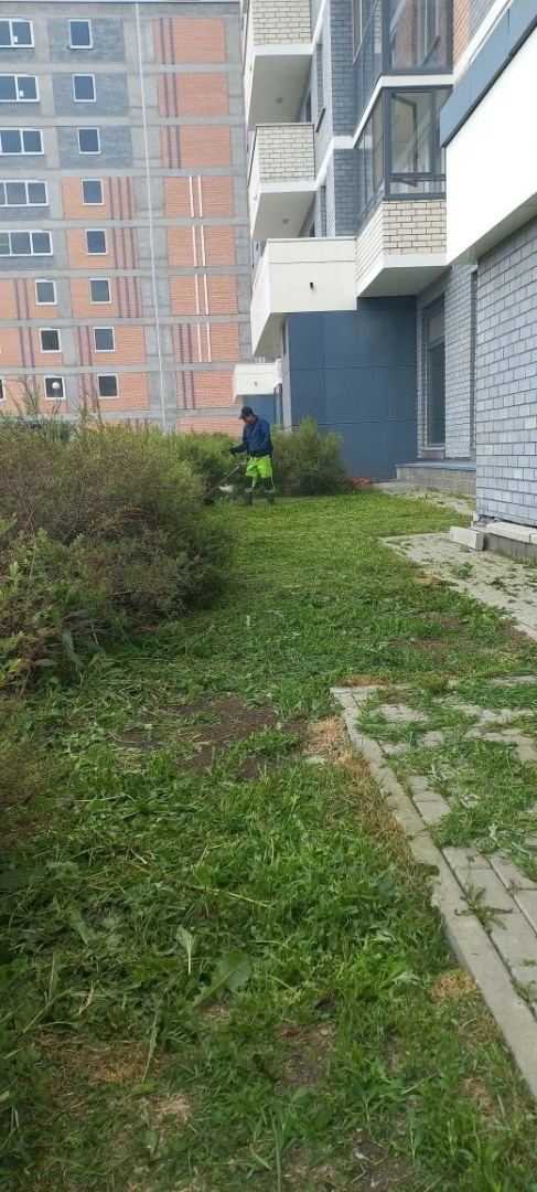 1 (358).jpg