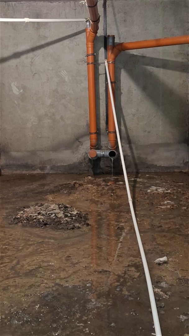 20260413_150636.jpg 20260413_150636.jpg