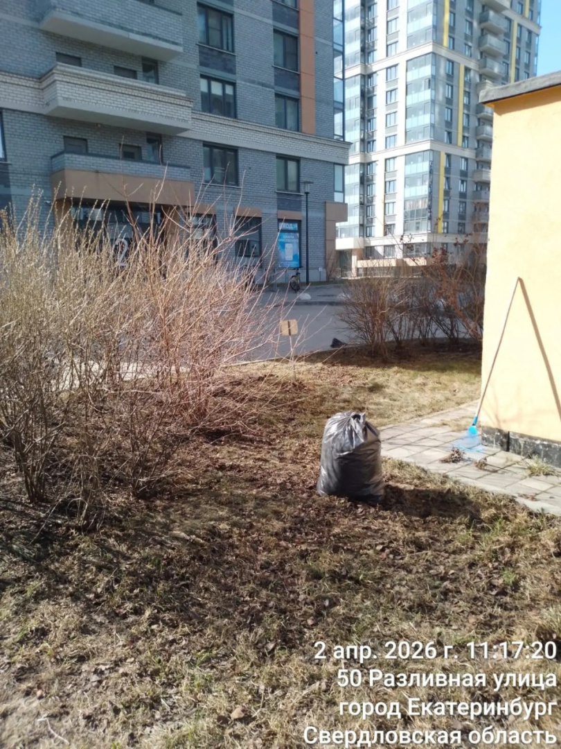 8fb74119-fed5-4ad0-851c-639c7f9960f7 (1) (1).jpg