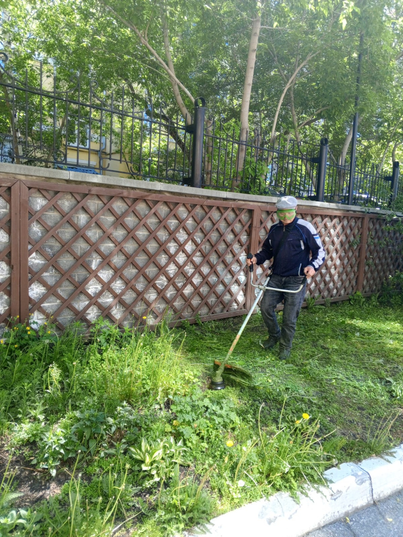 Покос25.06.2026.jpg