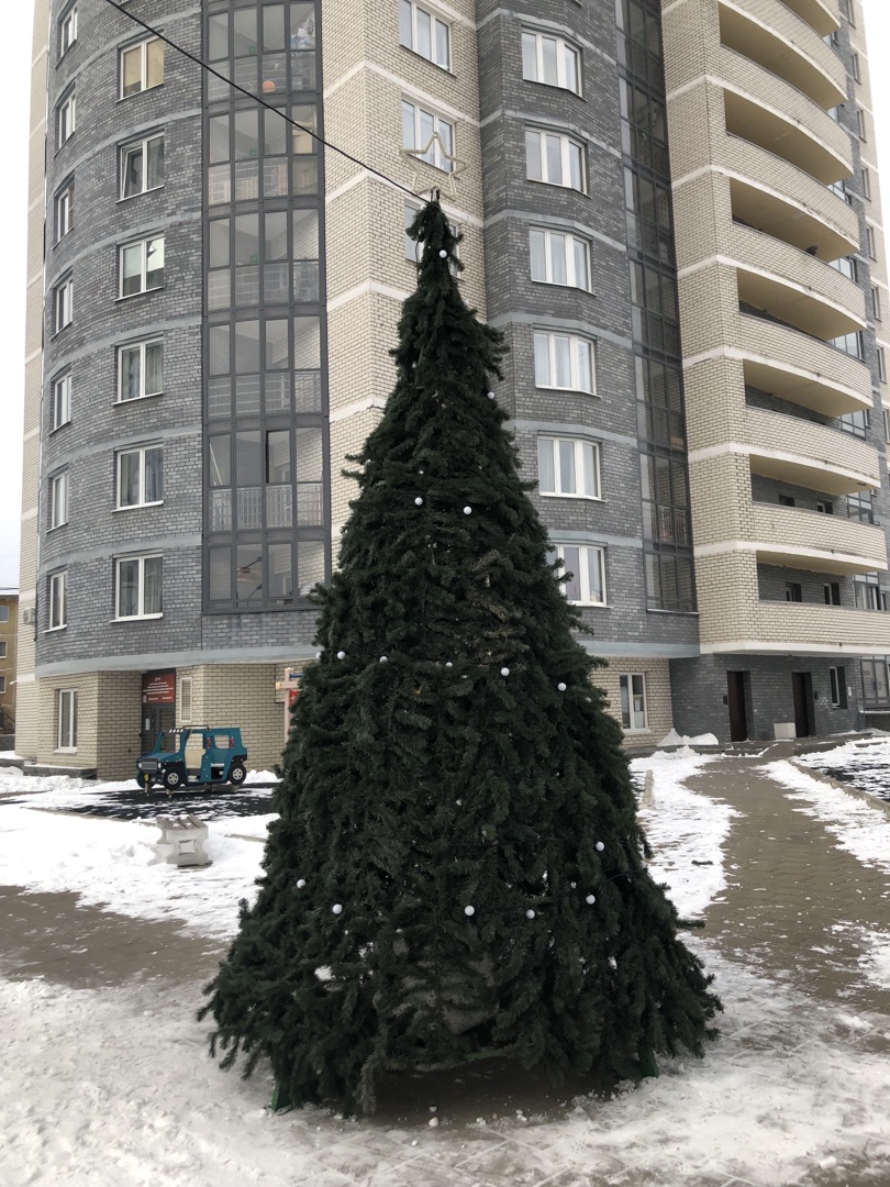 елка Пехотинцев (1) (1).jpg