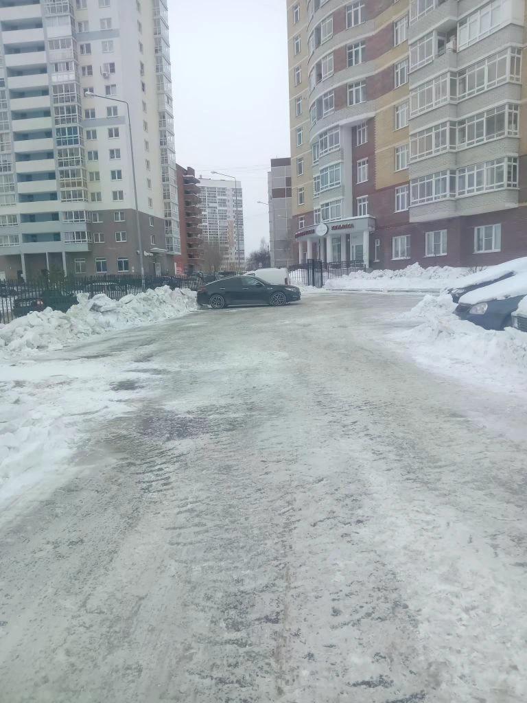 IMG_20260216_095241.jpg IMG_20260216_095241.jpg