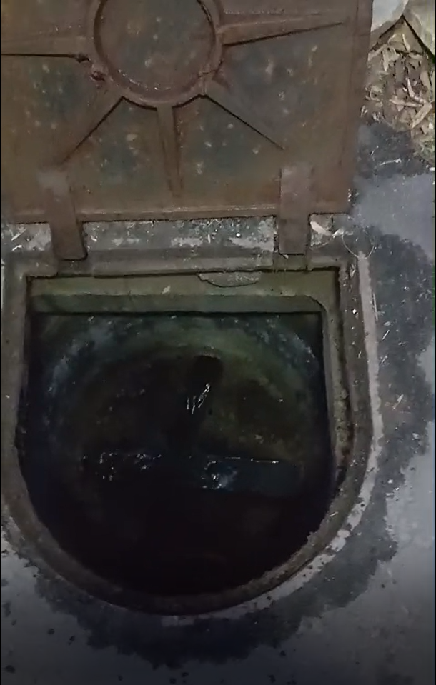 Засор Парниковая 12.png