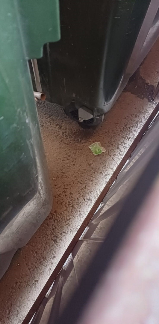 WhatsApp Image 2025-12-03 at 10.44.18.jpeg WhatsApp Image 2025-12-03 at 10.44.18.jpeg