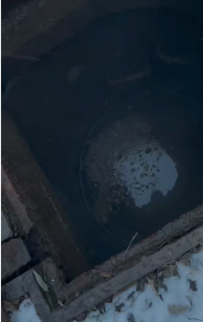 Засор парниковая1.png