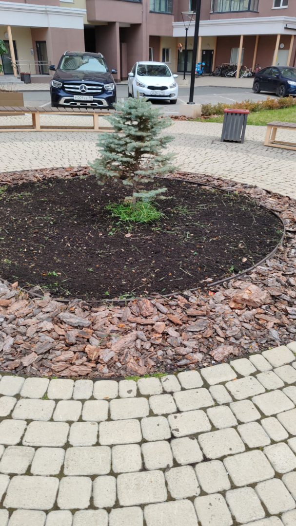 WhatsApp Image 2025-10-10 at 11.15.43.jpeg WhatsApp Image 2025-10-10 at 11.15.43.jpeg