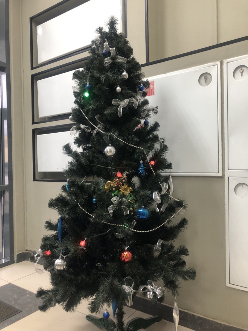 пех4к2 ёлка 2025.jpg