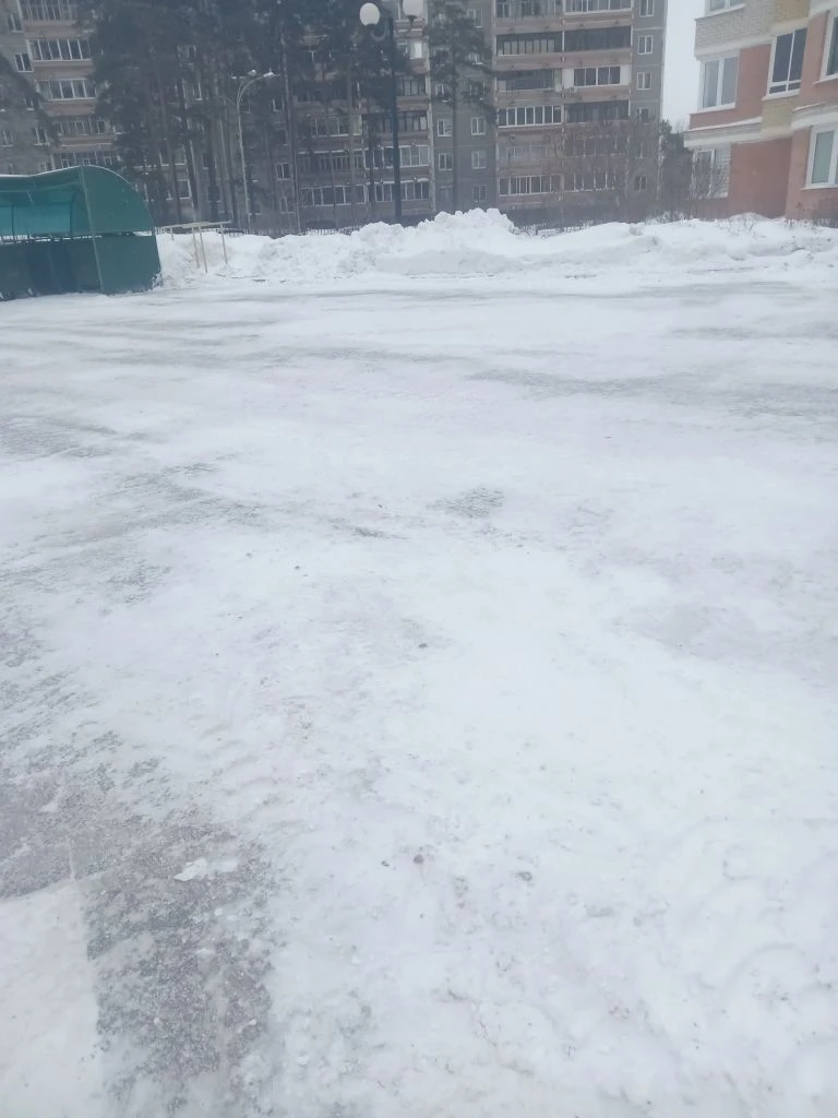 03.03.26г. во дворе.jpg