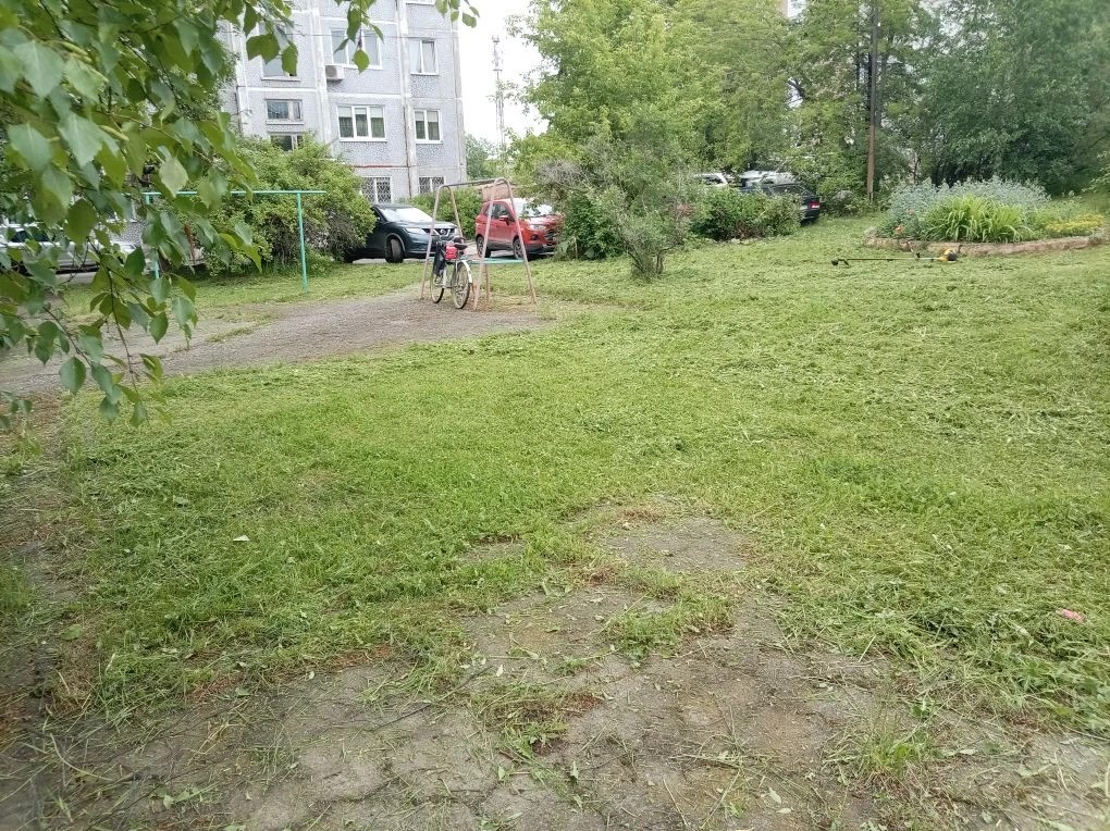 d54d4a20-a097-41ab-b583-9895b4eb6292.jpeg