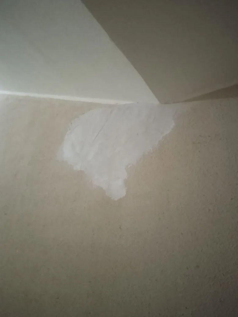 8 эт пож. лестница.jpg