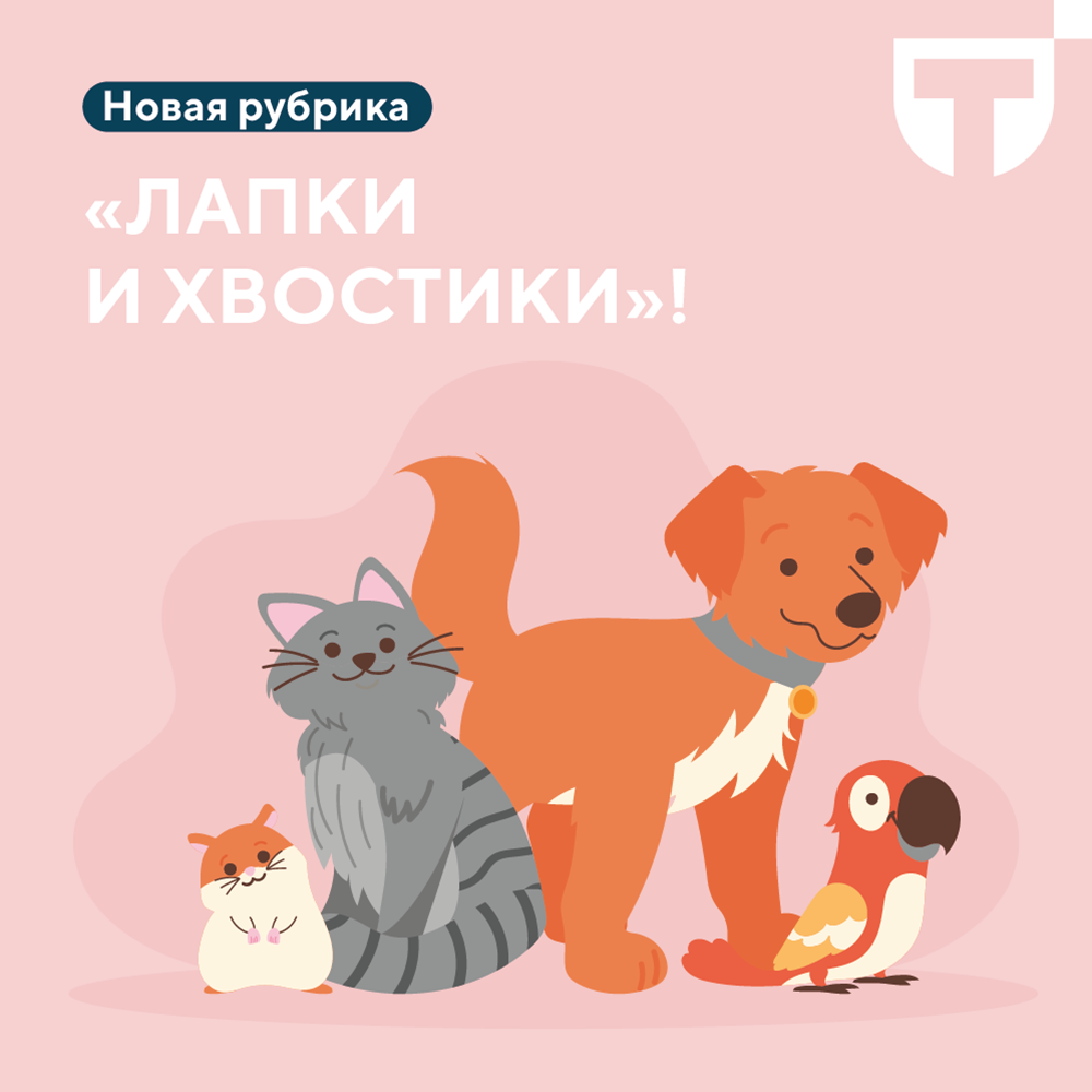 лапки и хвостики.png