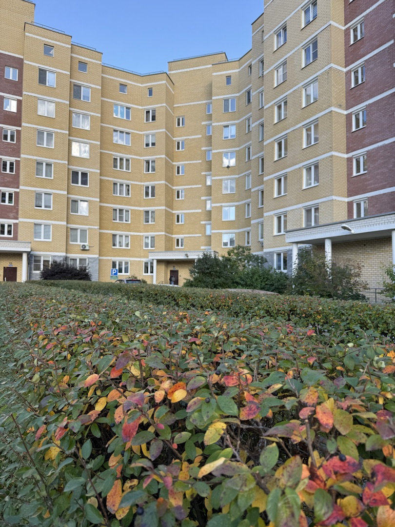 IMG_4850 (1).jpg