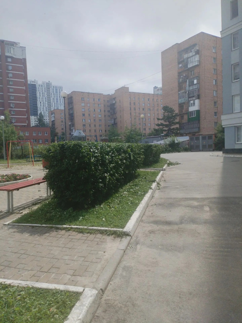 c41ec166-98b8-4dbd-9de2-dbb4d31d5d88.jpg