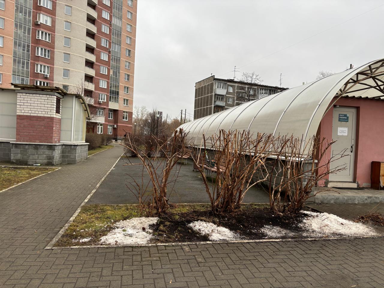 WhatsApp Image 2025-12-01 at 15.44.49.jpeg