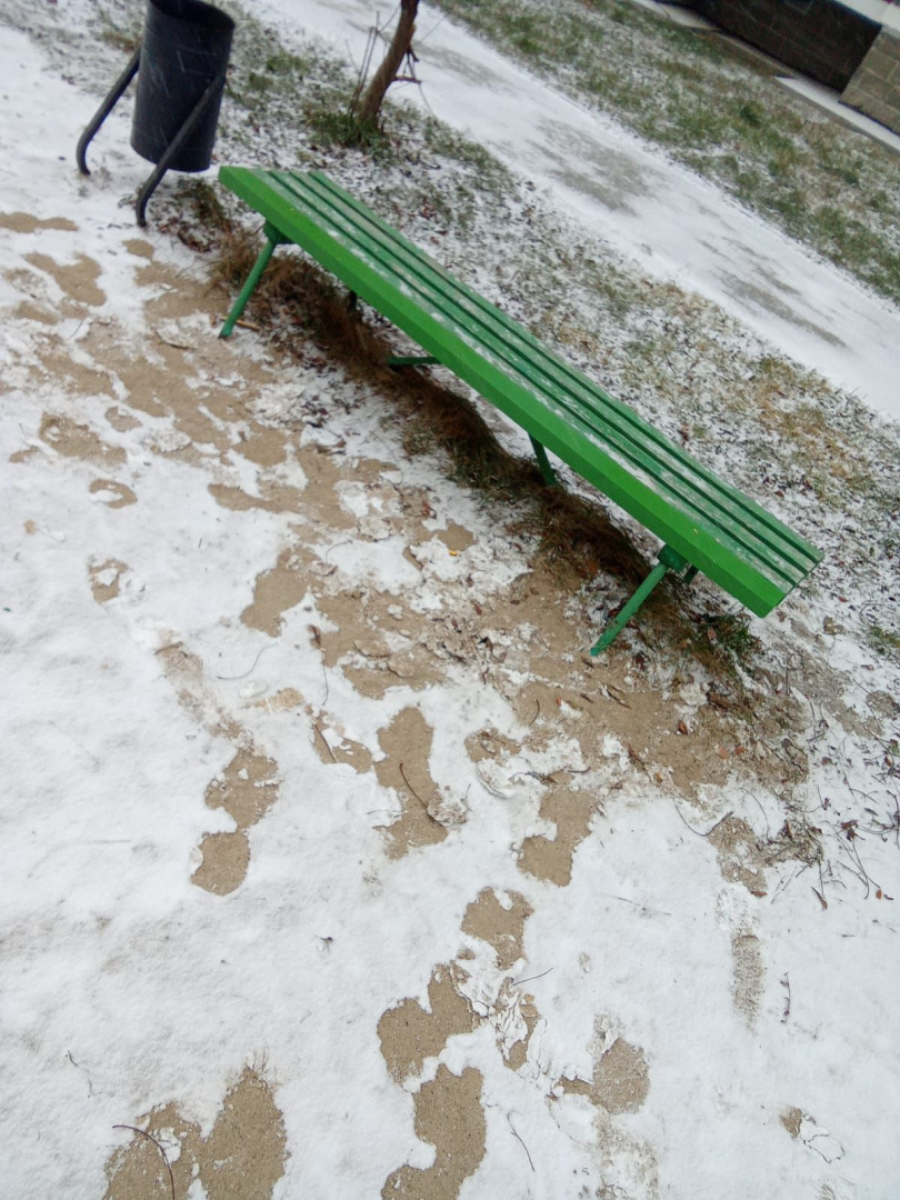 WhatsApp Image 2025-11-11 at 11.02.38 (1).jpeg