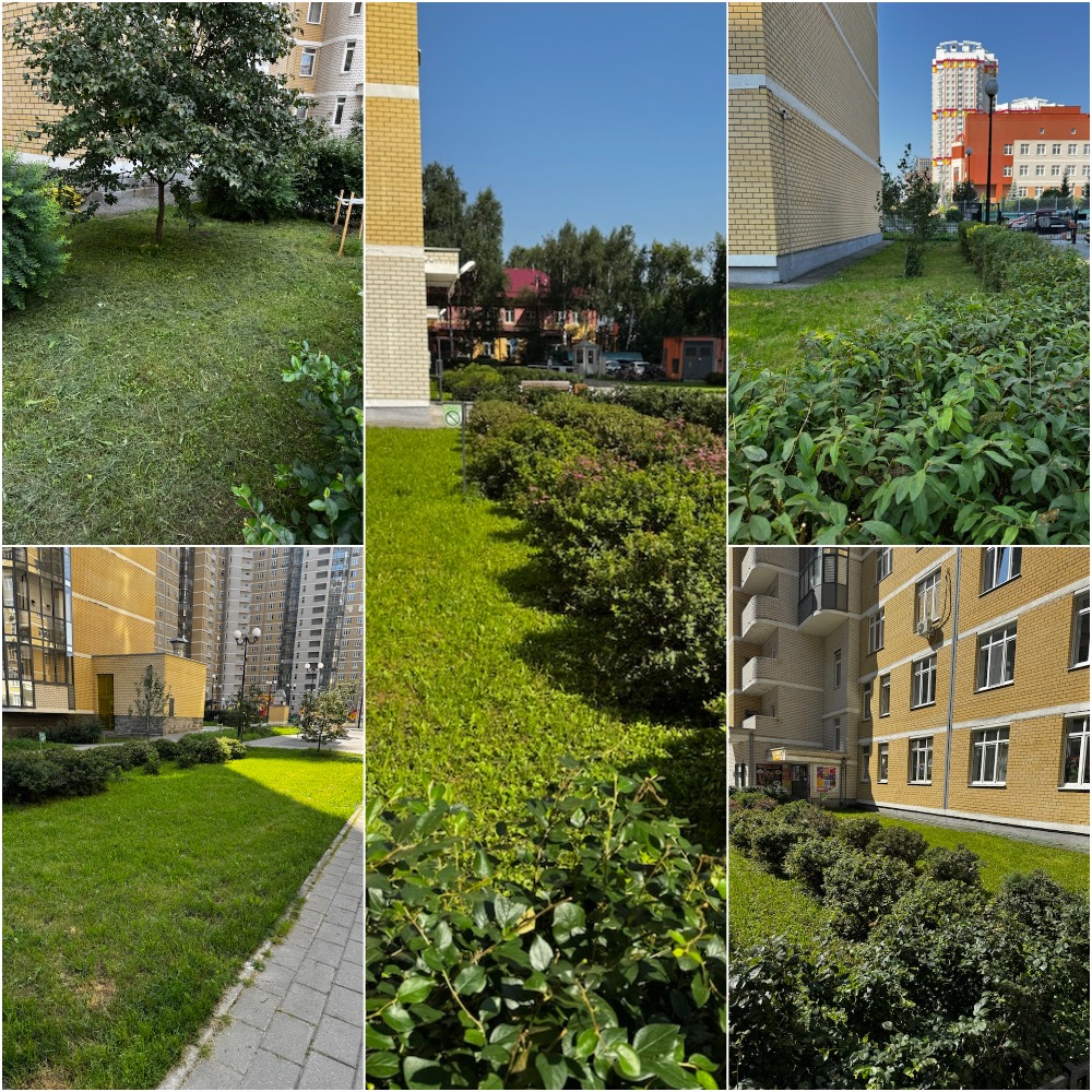MyCollages (11).jpg