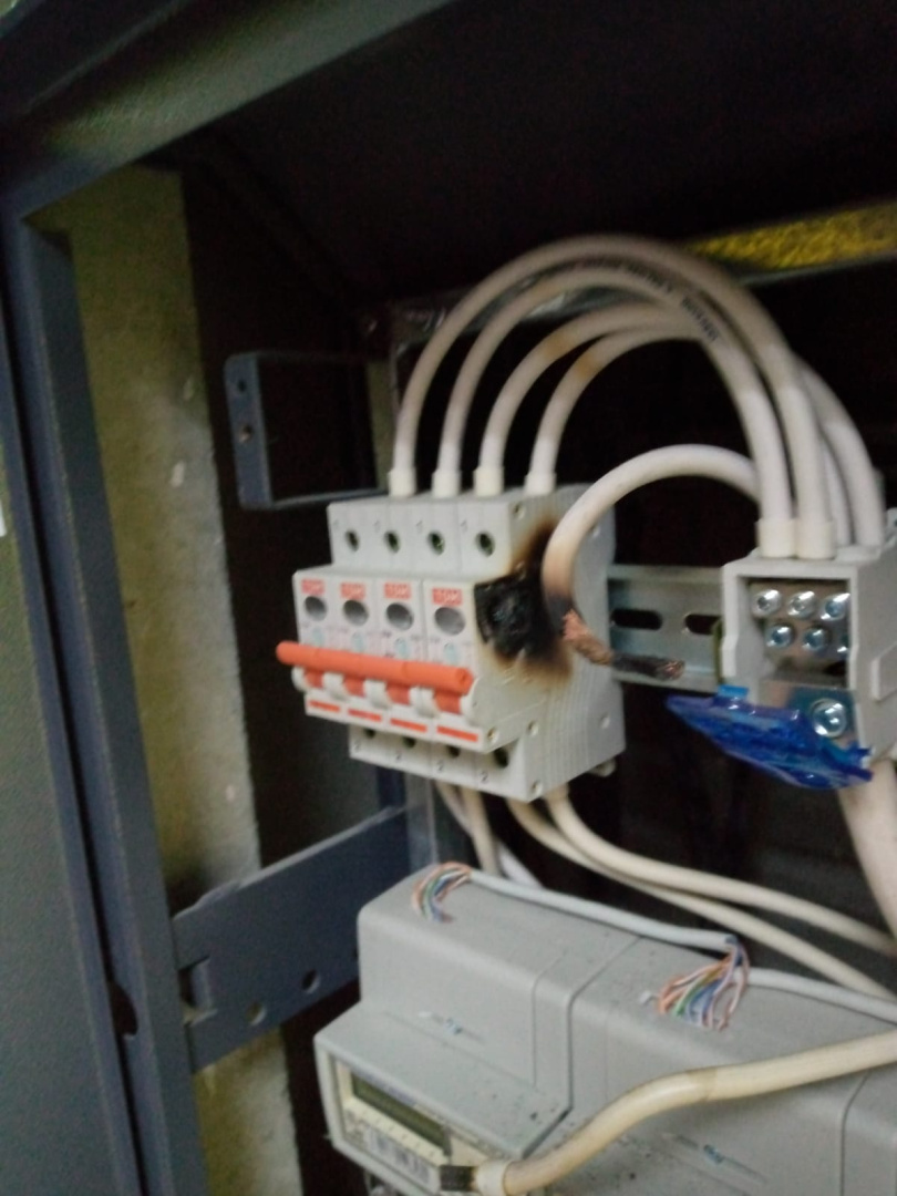 9ed4028f-fba0-45a1-8d65-322627df237a (1).jpg