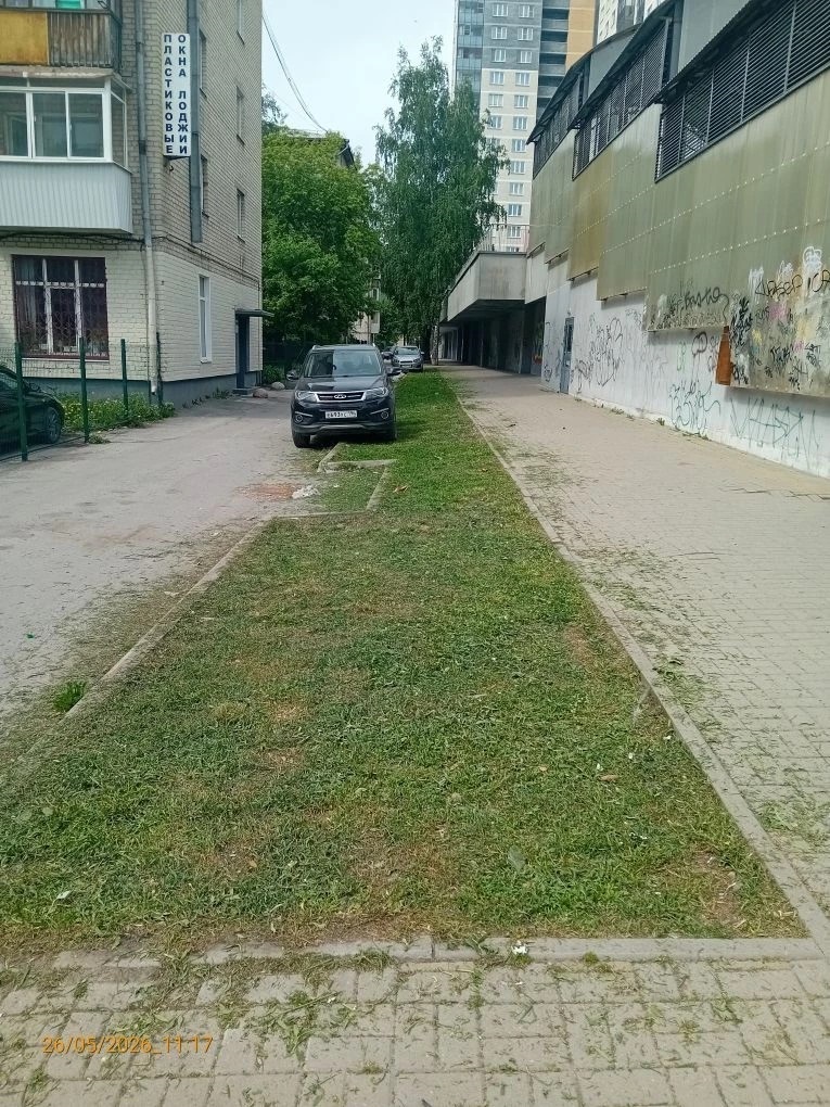 2 (184).jpg