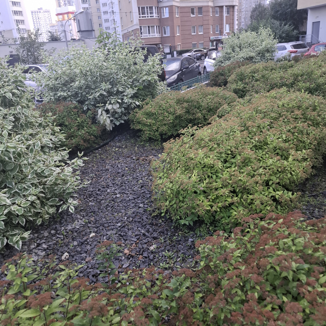 20260803_172133.jpg